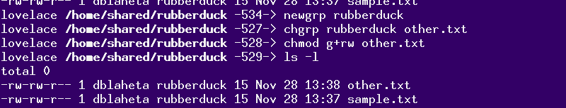 newgrp rubberduck; chgrp rubberduck
other.txt; chmod g+rw other.txt; ls -l